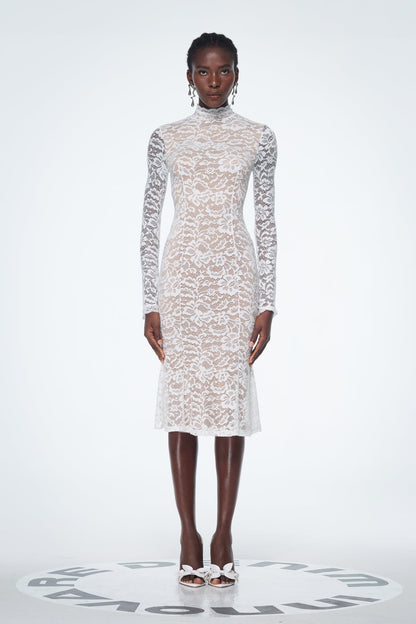 Babatunde Lace Bodycon Midi Dress