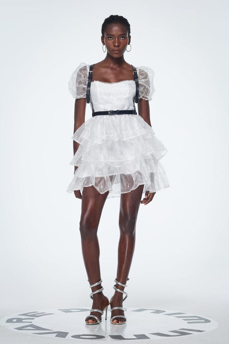 Babis Mesh Ruffle Mini Dress