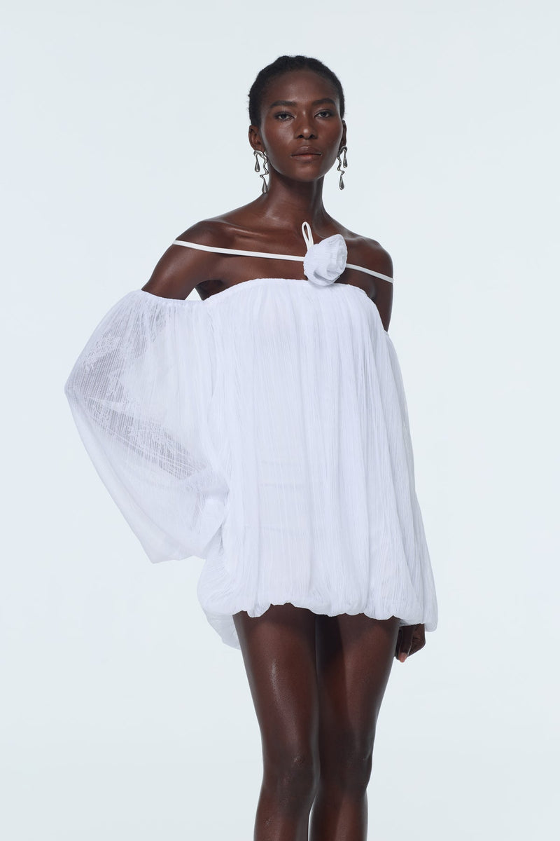 Babs Balloon Sleeve Mesh Mini Dress