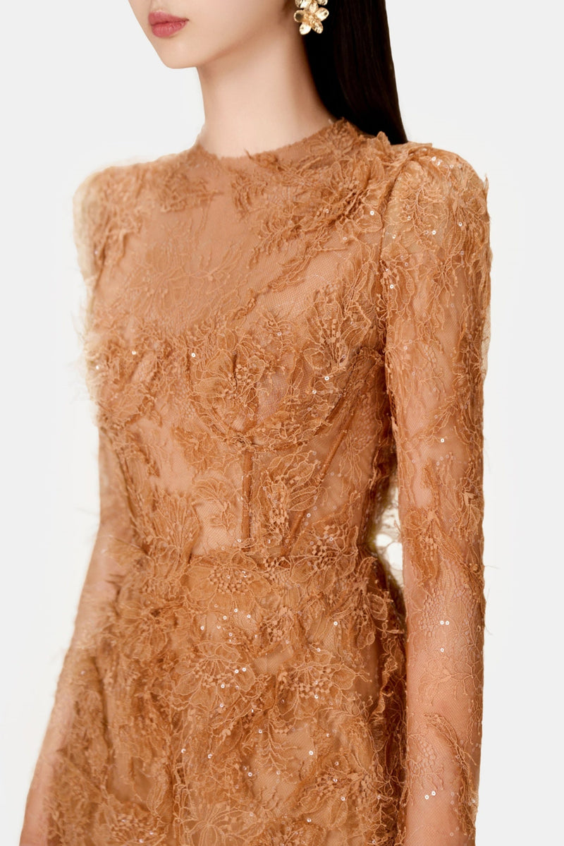 Batya Lace Long Sleeve Mini Dress
