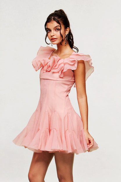 Blago Ruffle Corset Mini Dress in Pink