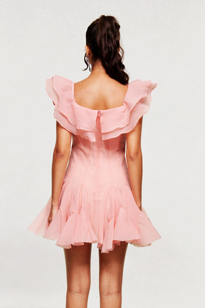 Blago Ruffle Corset Mini Dress in Pink