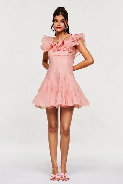 Blago Ruffle Corset Mini Dress in Pink