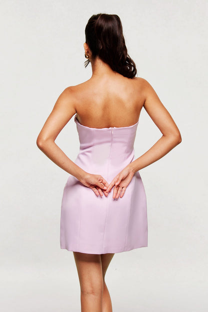 Blanche Strapless Mini Dress in Pink