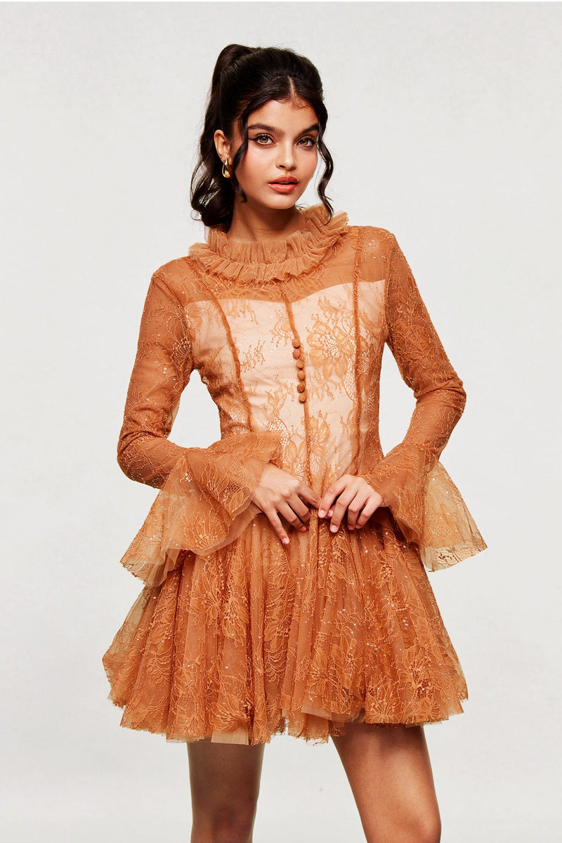 Blanid Lace Embroidered Ruffle Mini Dress in Brown
