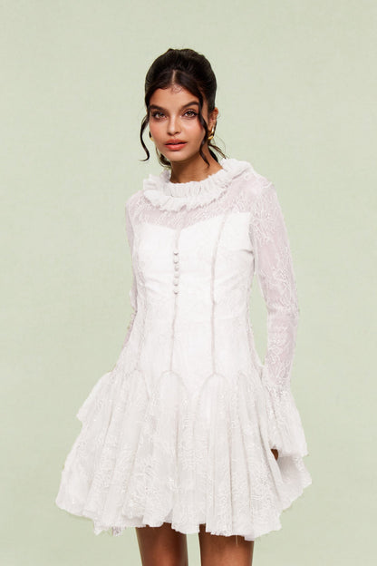 Blanid Lace Embroidered Ruffle Mini Dress in White