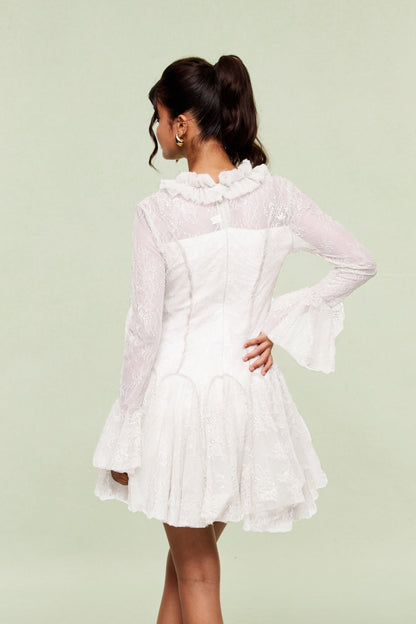 Blanid Lace Embroidered Ruffle Mini Dress in White