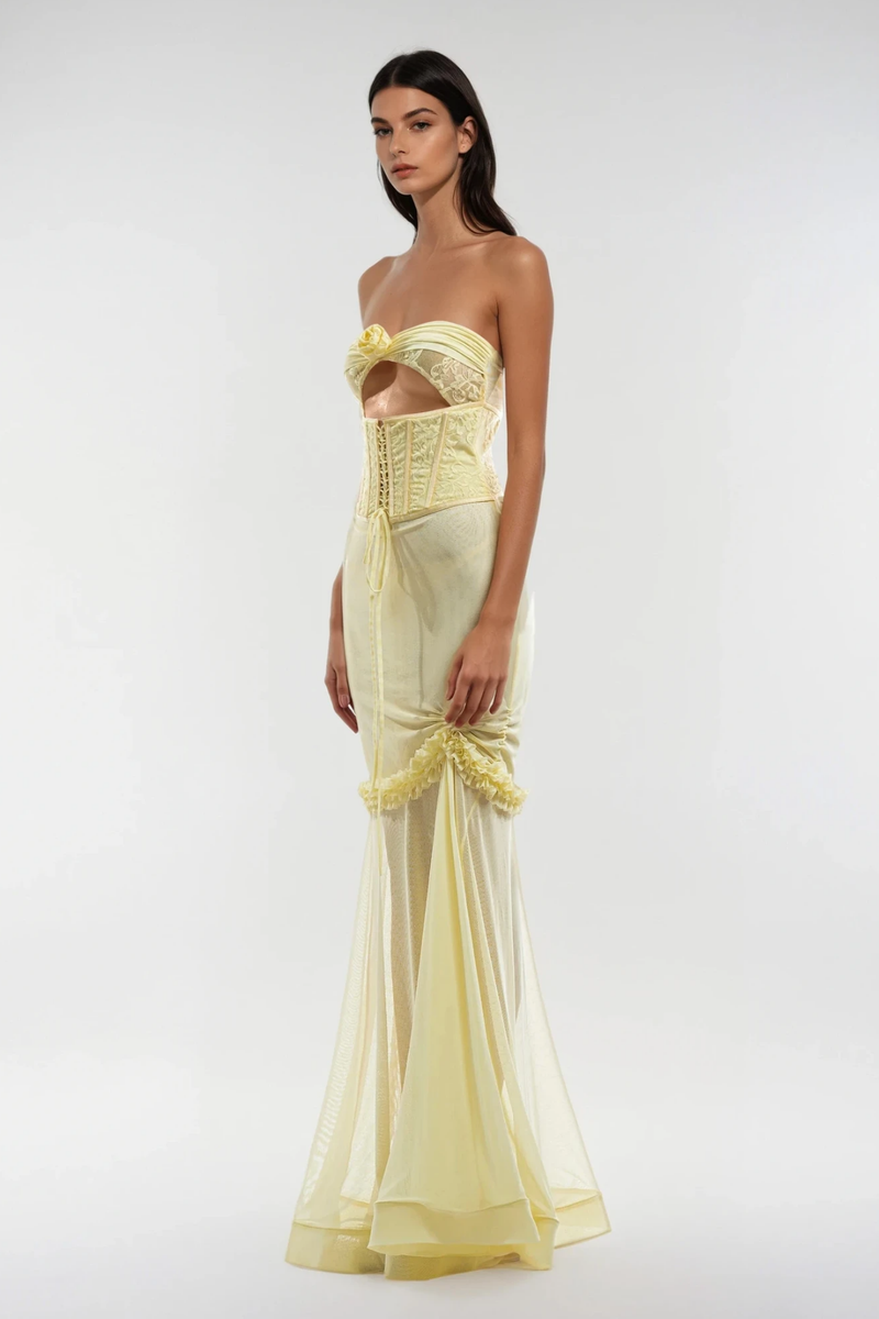 Blodeuedd Cutout Mesh Corset Maxi Dress