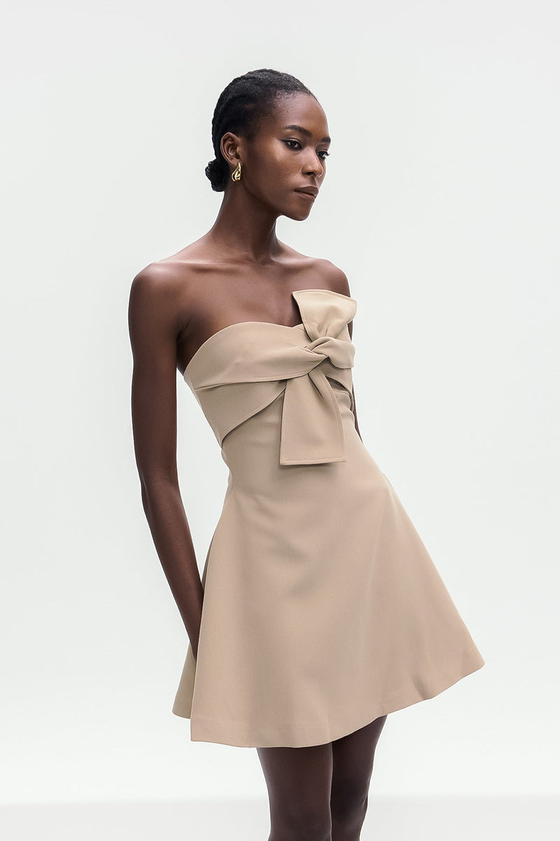 Bolanle Lace Up Strapless Mini Dress