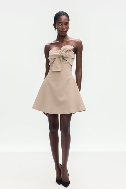 Bolanle Lace Up Strapless Mini Dress