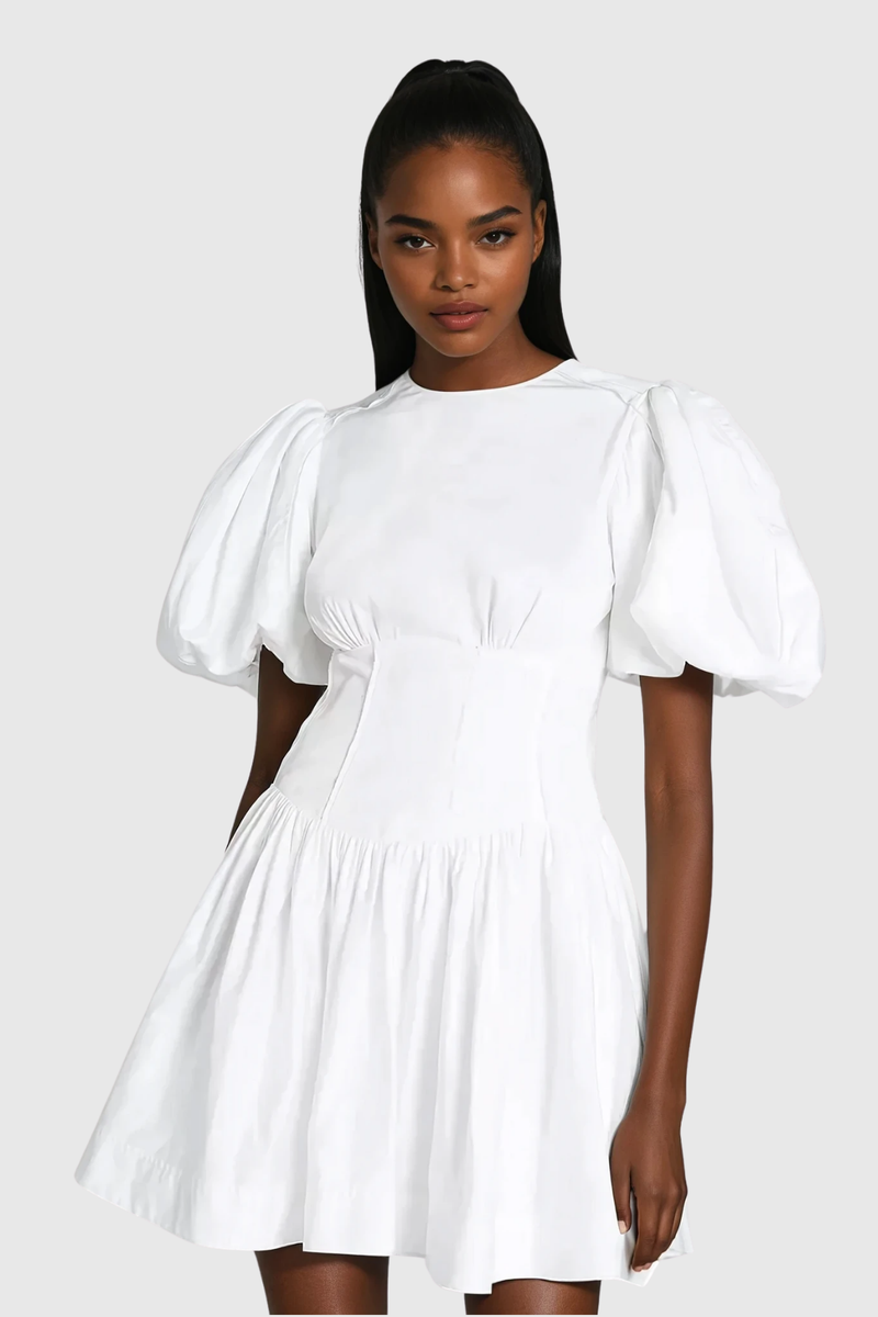 Boyka Balloon Sleeve Ruch Mini Dress