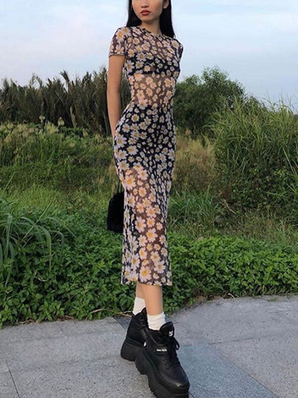 Mesh Slim Maxi Dress With Daisy Print