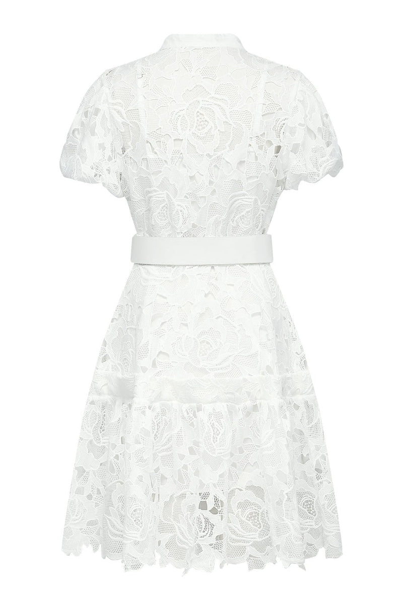 Calista Lace-embroidered Belted Mini Dress