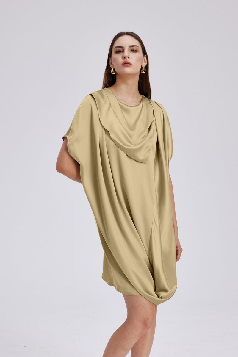 Charly Cowl Neck Ruch Mini Dress