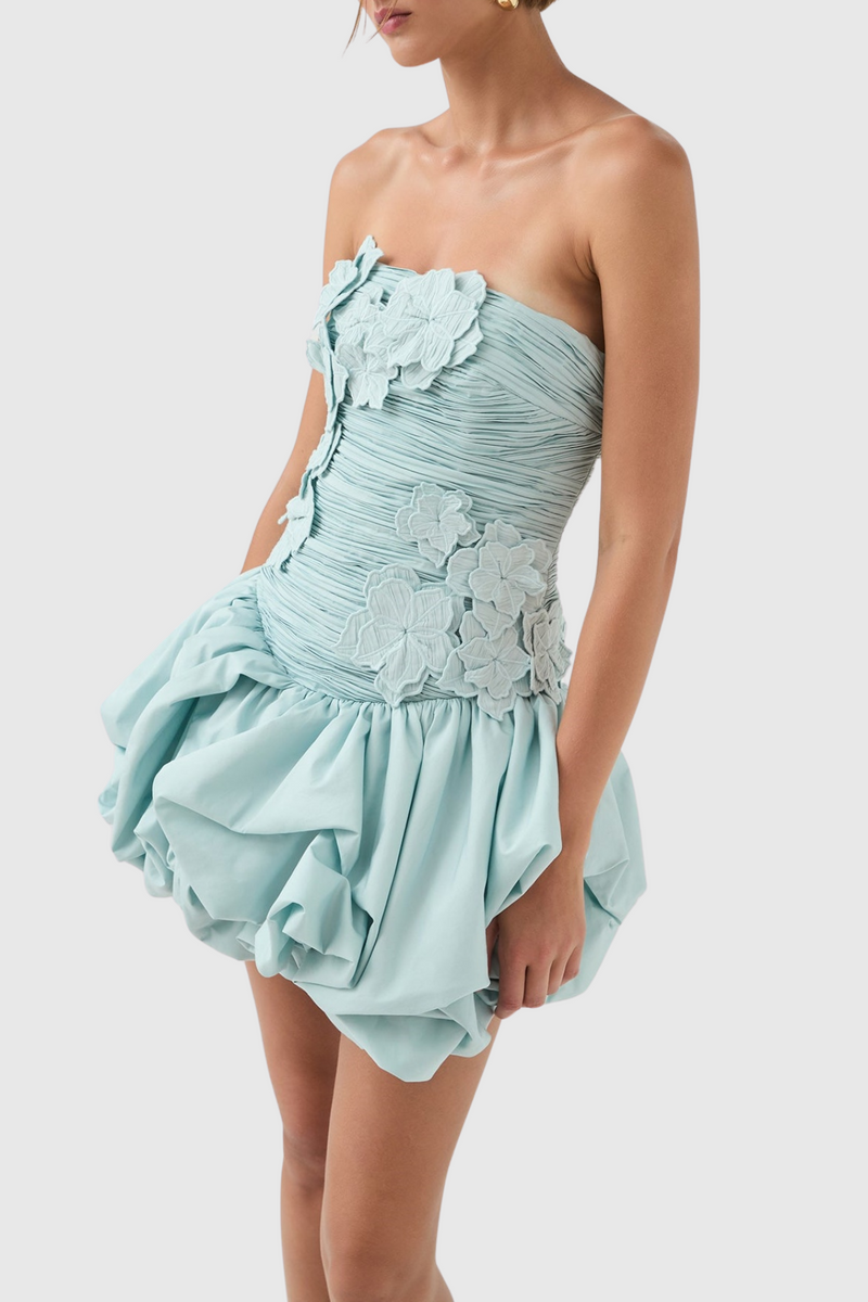 Coleka Appliqué Strapless Mini Dress