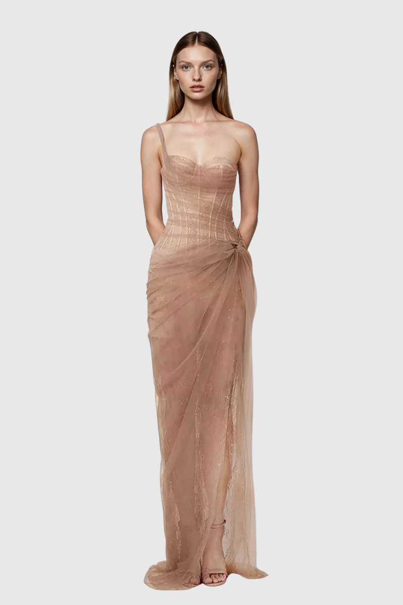 Dechen One Shoulder Corset Mesh Maxi Dress in Brown