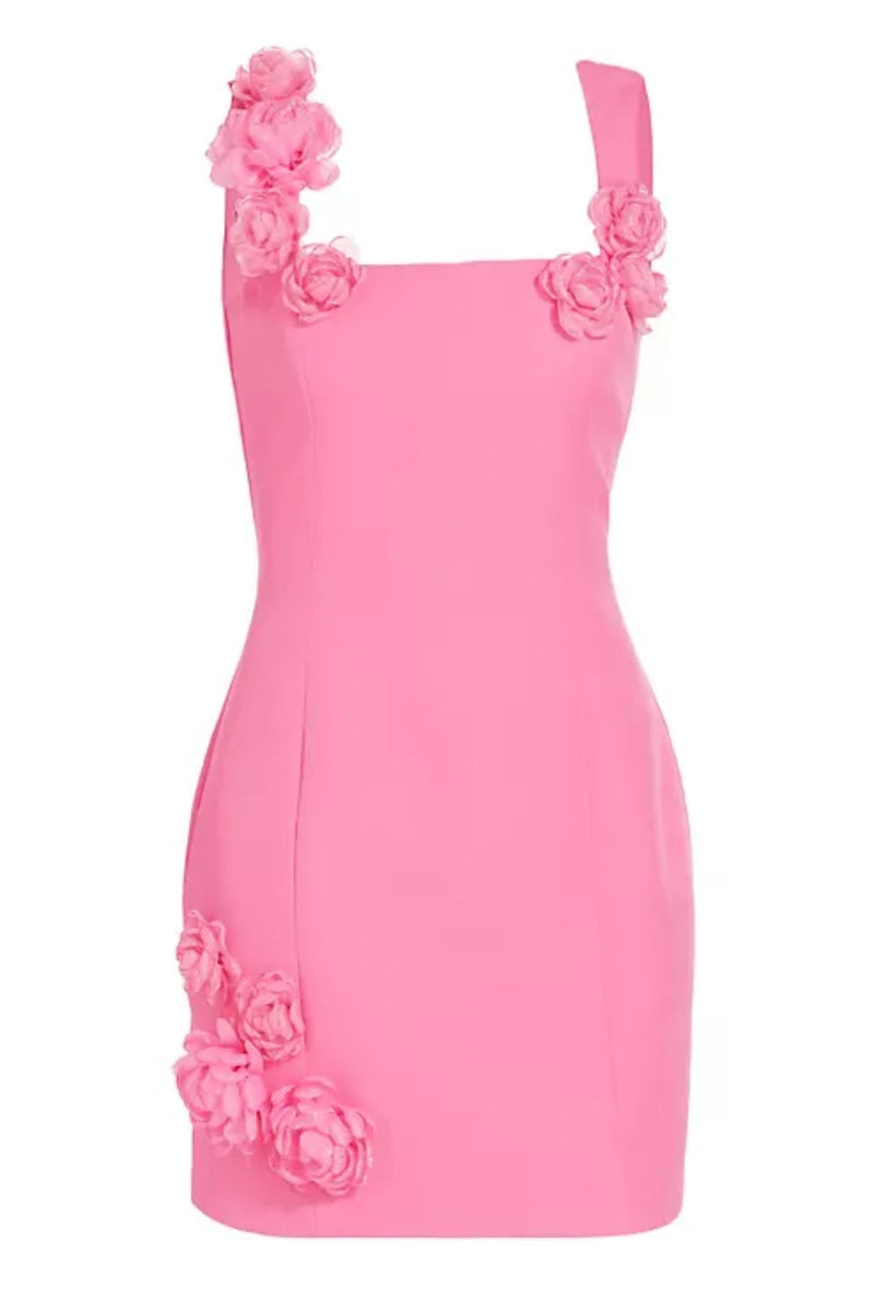 Dilanne Appliqué Mini Dress - Pink