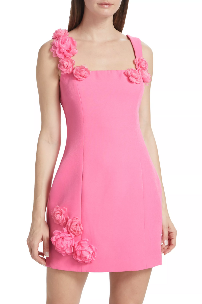 Dilanne Appliqué Mini Dress - Pink