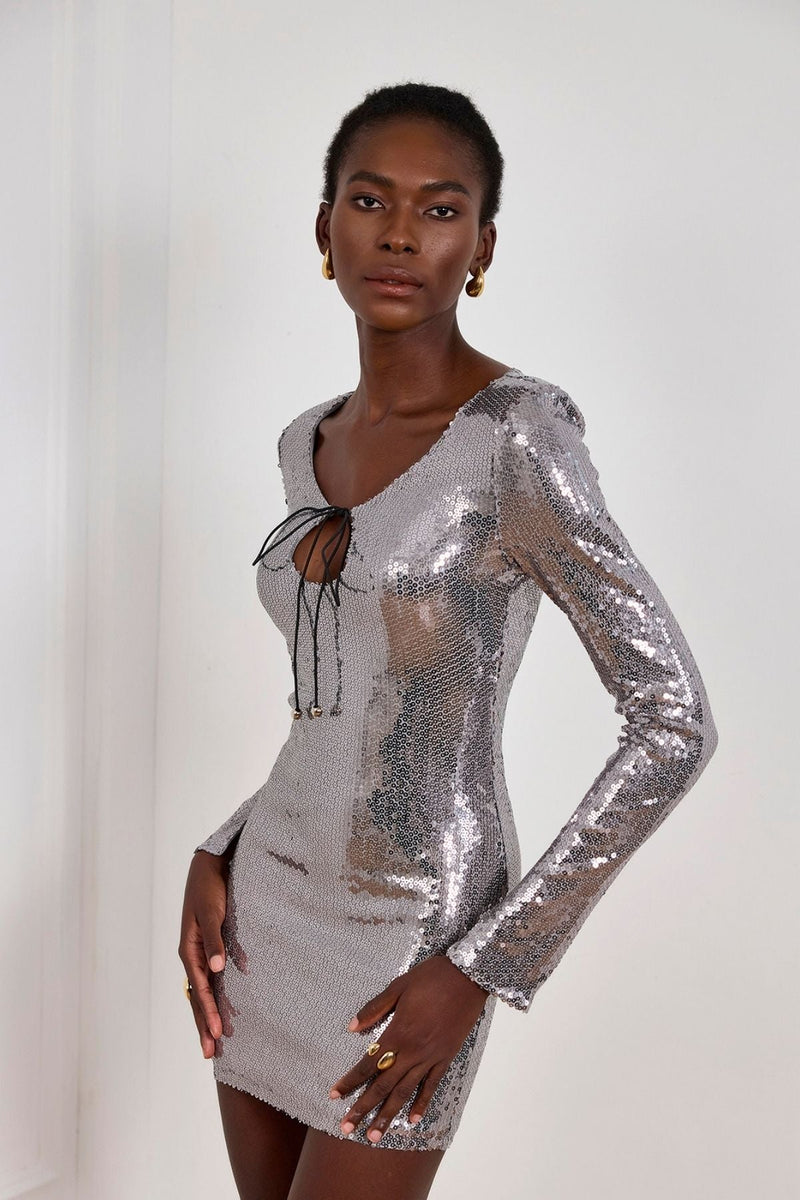Aoibhe Long Sleeve Sequin Mini Dress in Silver