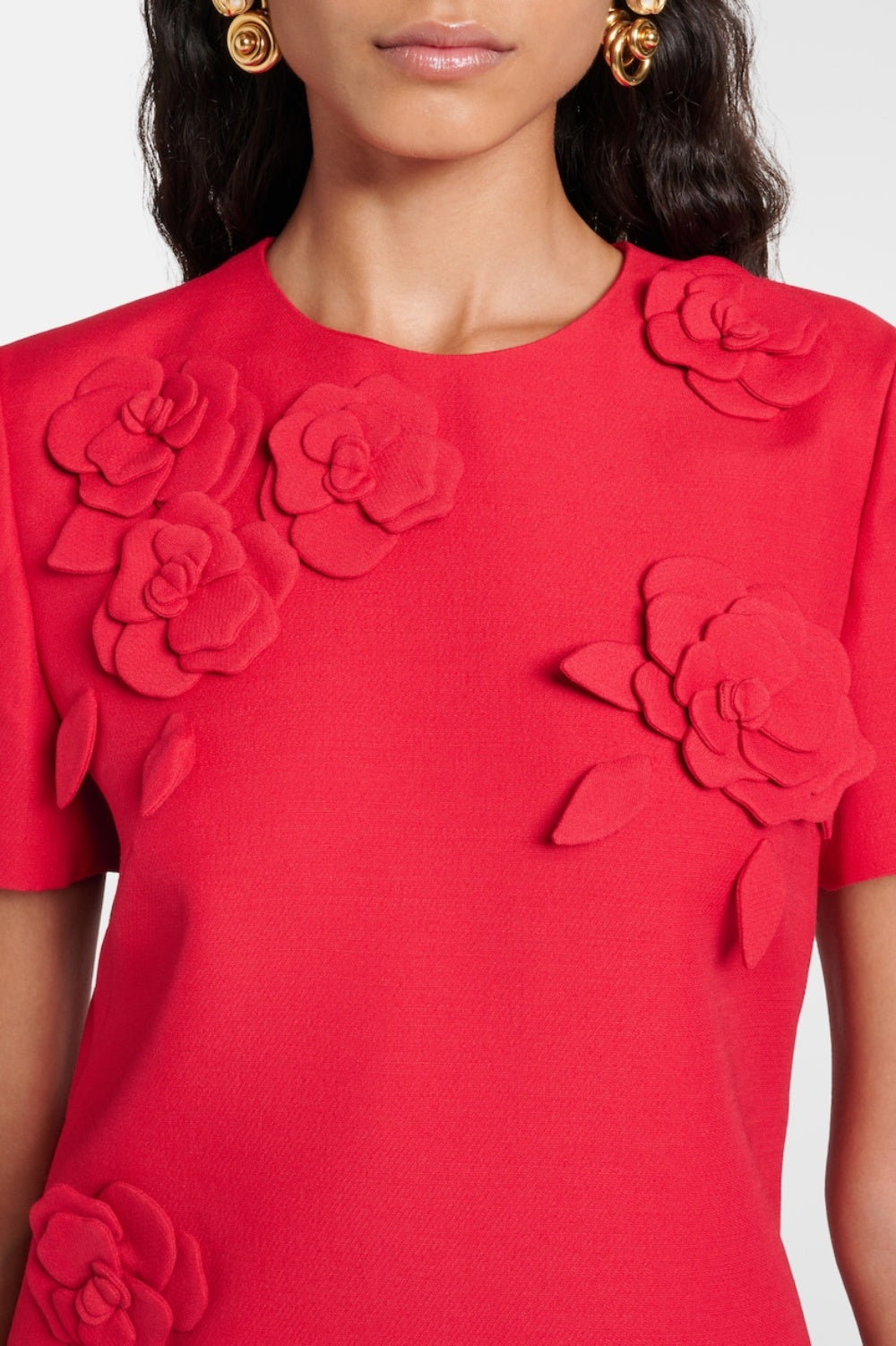 Eleanor Appliqué Mini Dress