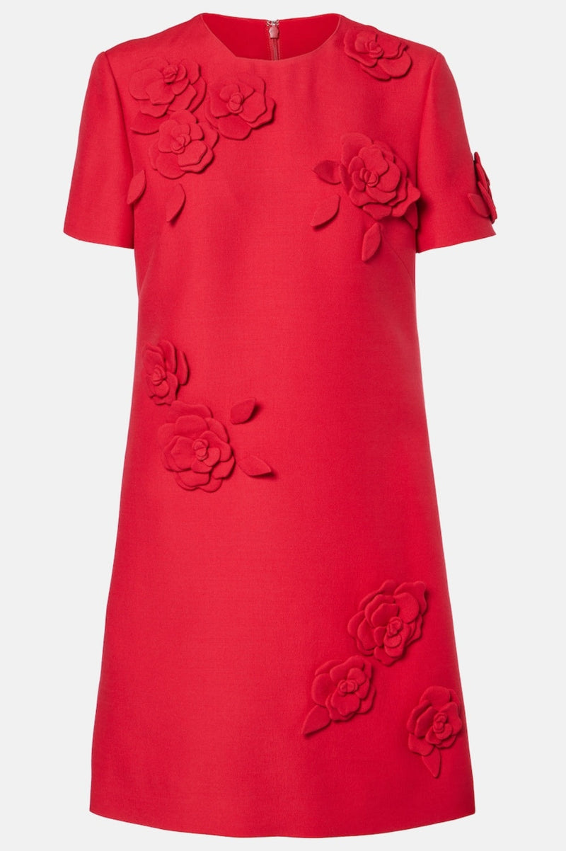 Eleanor Appliqué Mini Dress