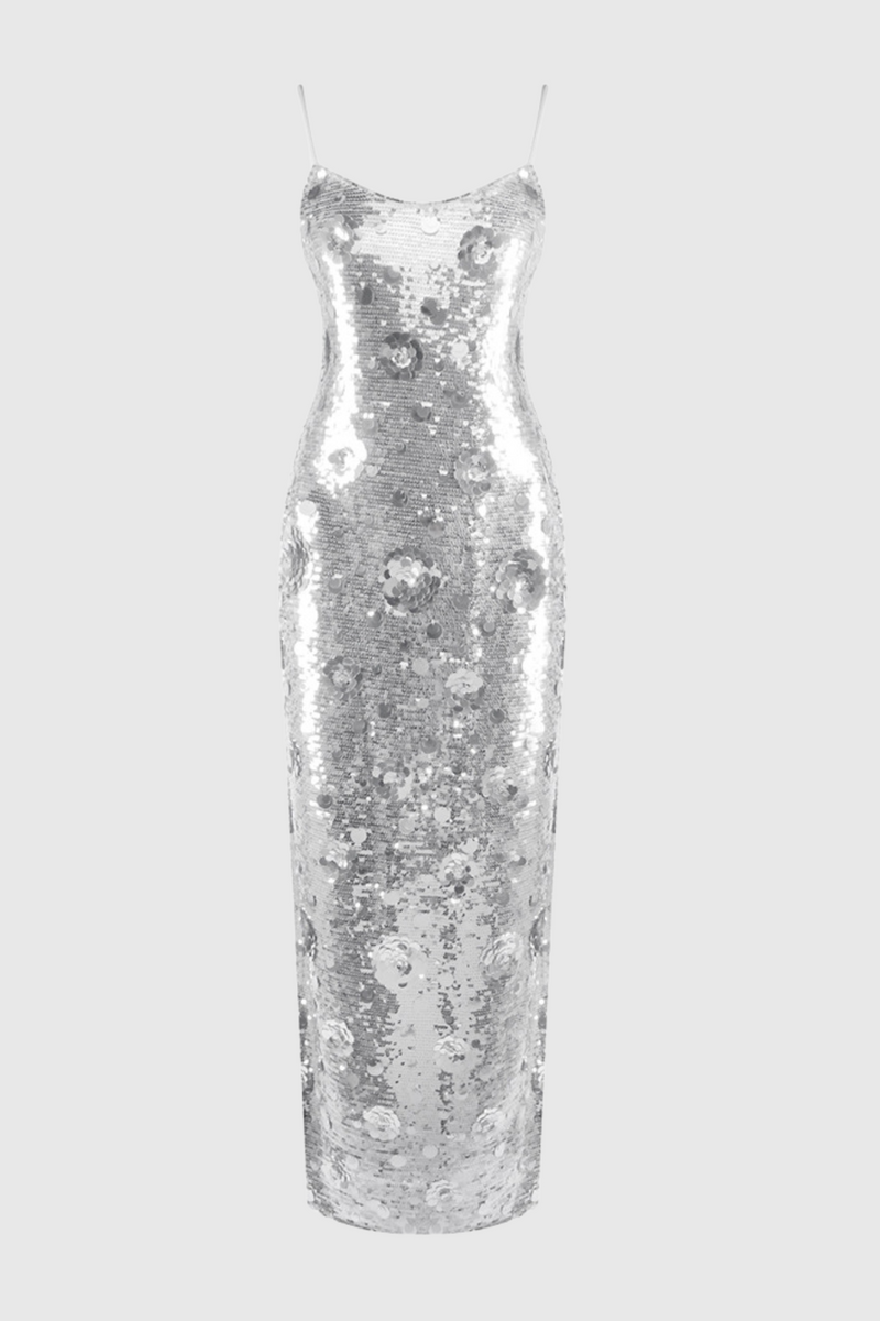 Ericka Sequin Maxi Dress