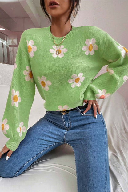 Embroidery Crew Neck Sweater