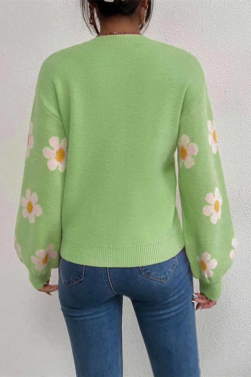 Embroidery Crew Neck Sweater