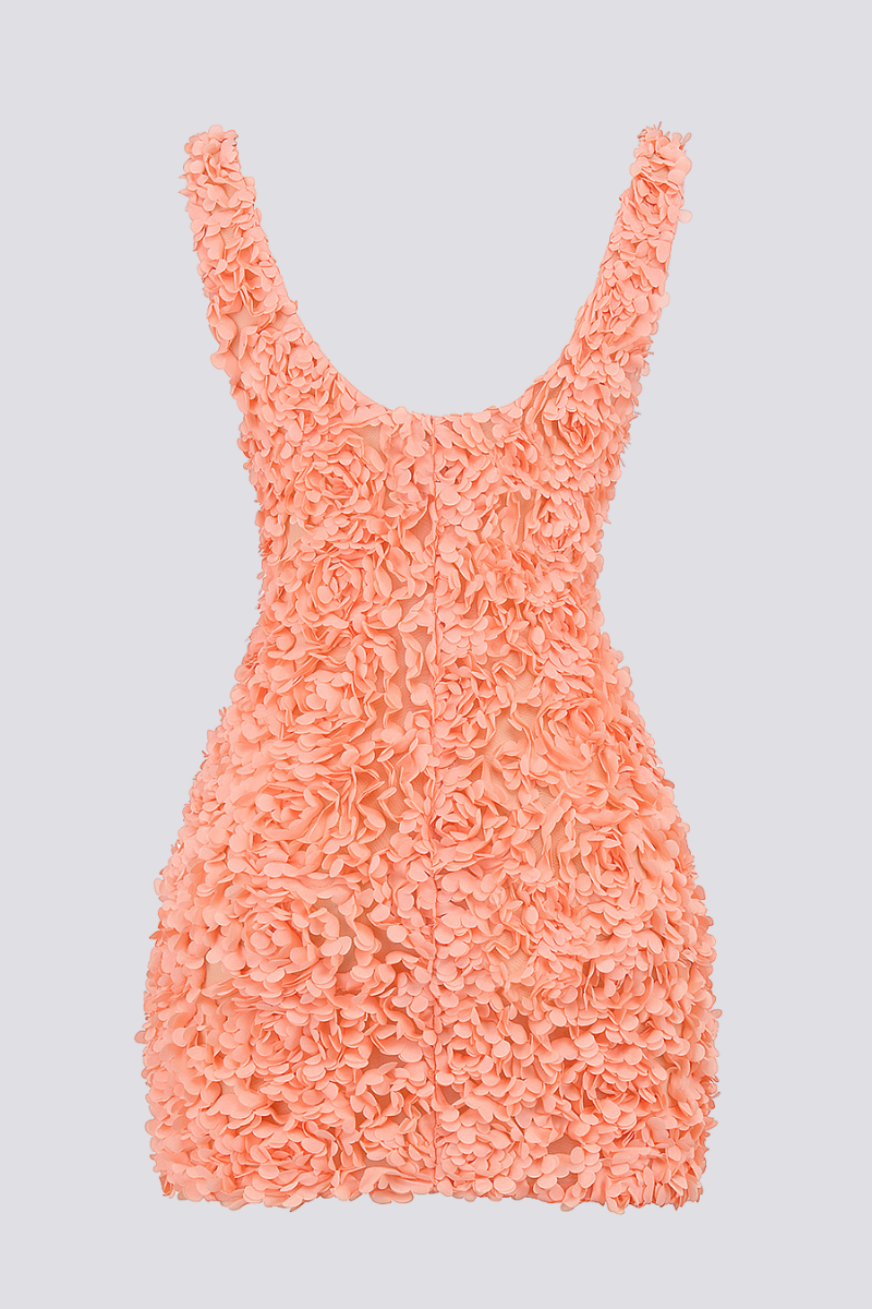 Gaëlle Plunge Neck Mini Dress