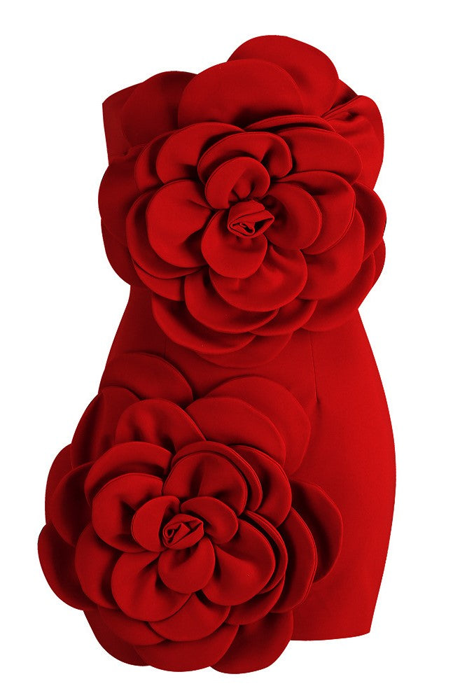Hailey Strapless Mini Dress