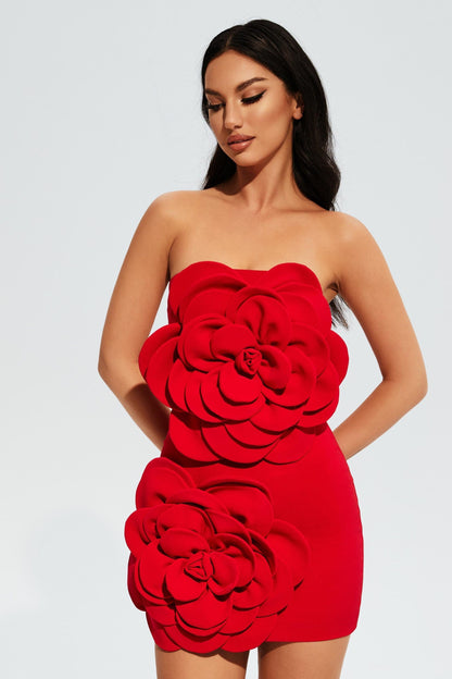 Hailey Strapless Mini Dress