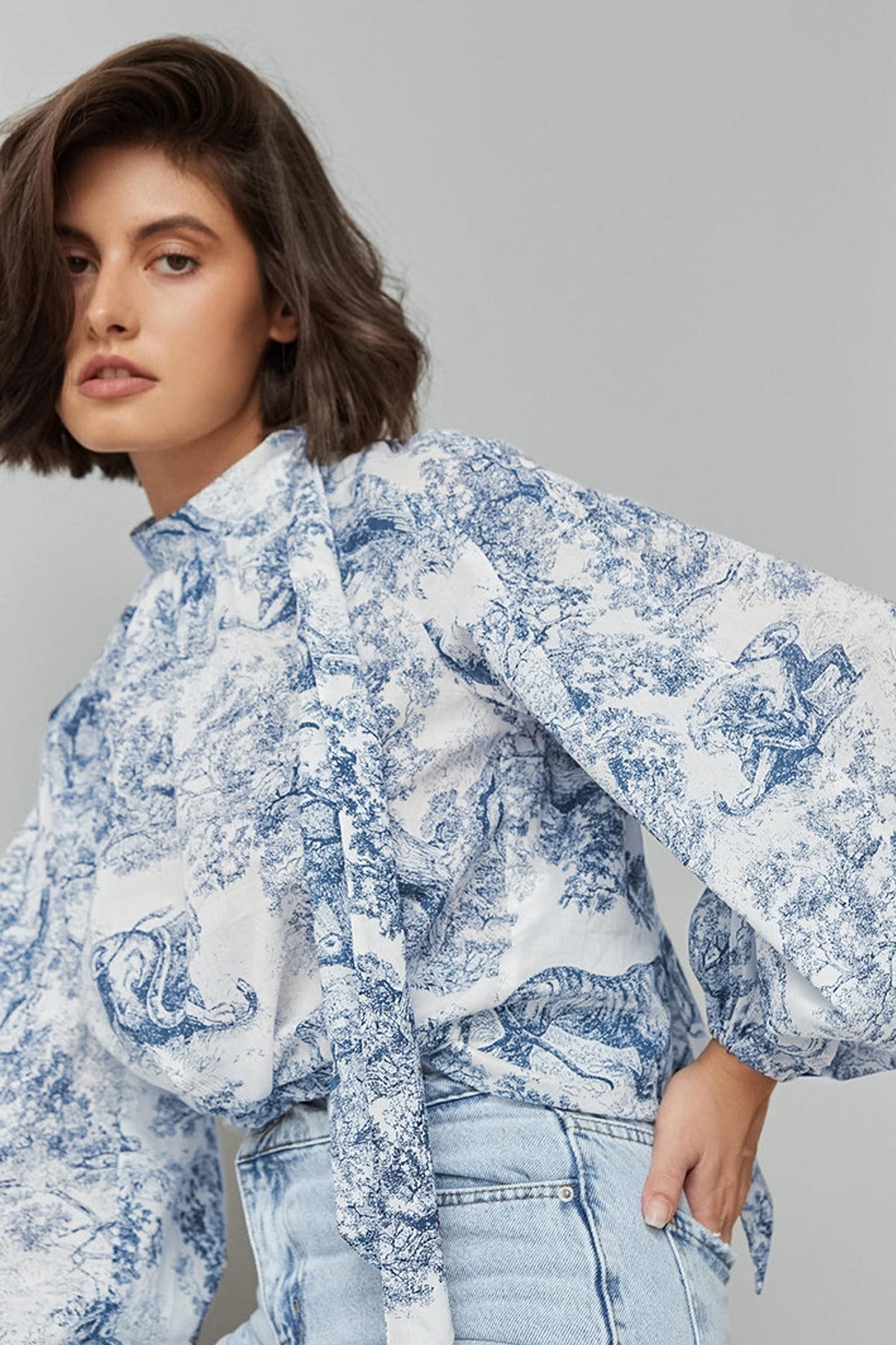 Animal Print Lantern Sleeve Blouse