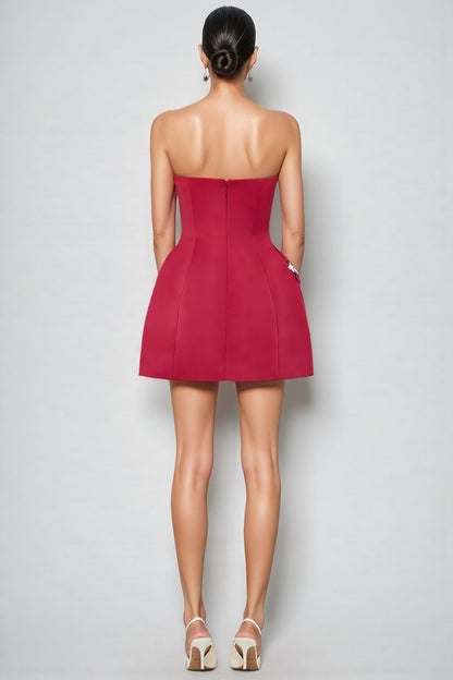 Ryron Red Bustier Mini Dress