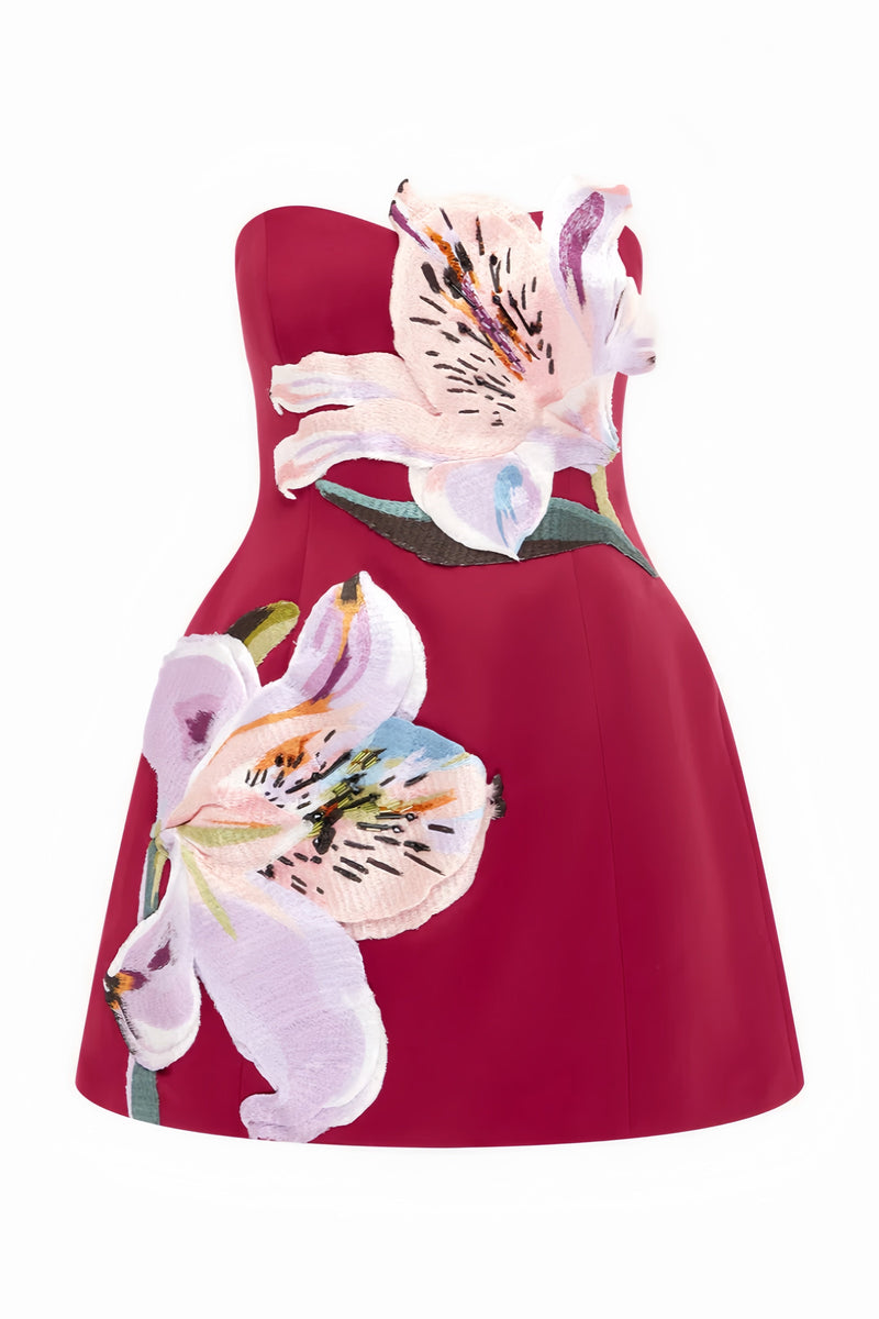 Ryron Red Bustier Mini Dress