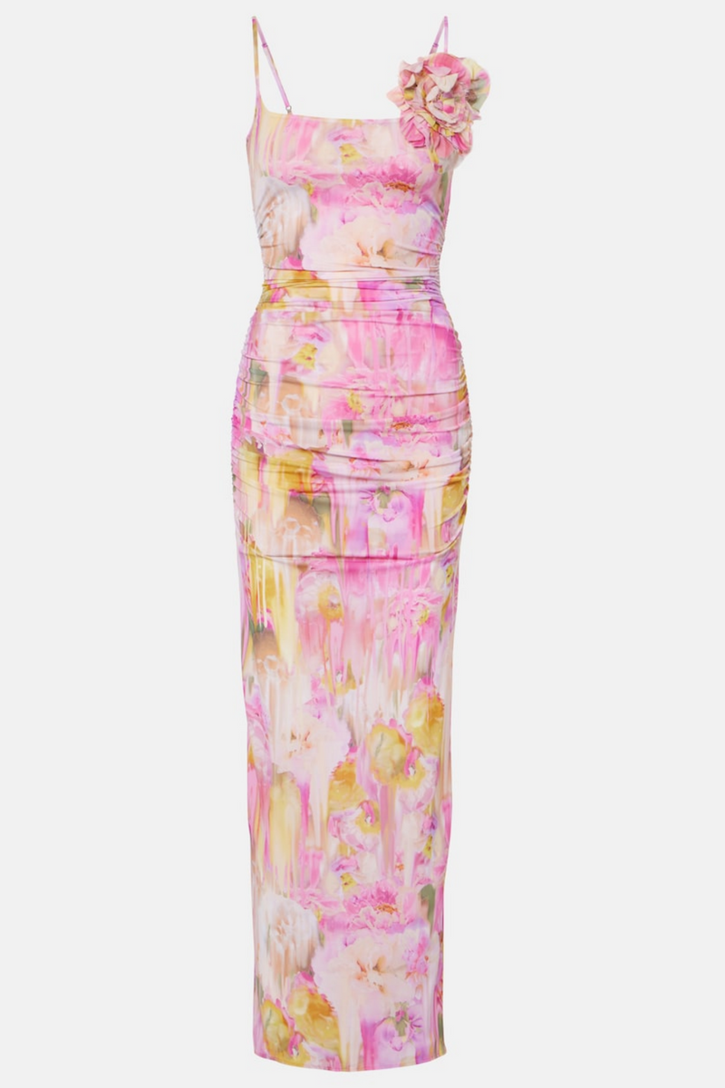 Ludema Appliqué Print Maxi Dress