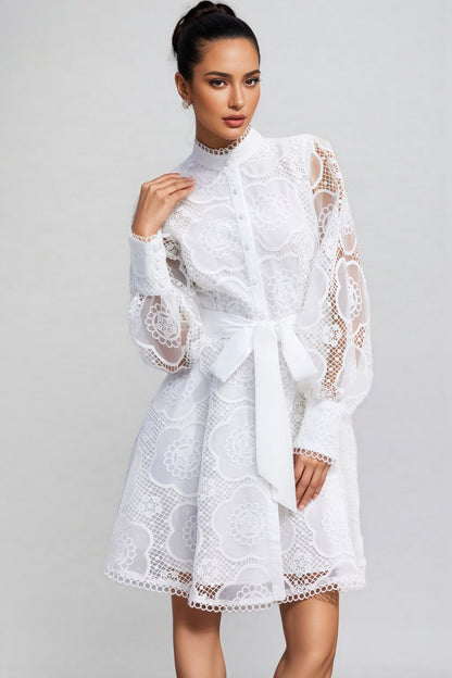 Joanna Lace Lantern Sleeve Mini Dress