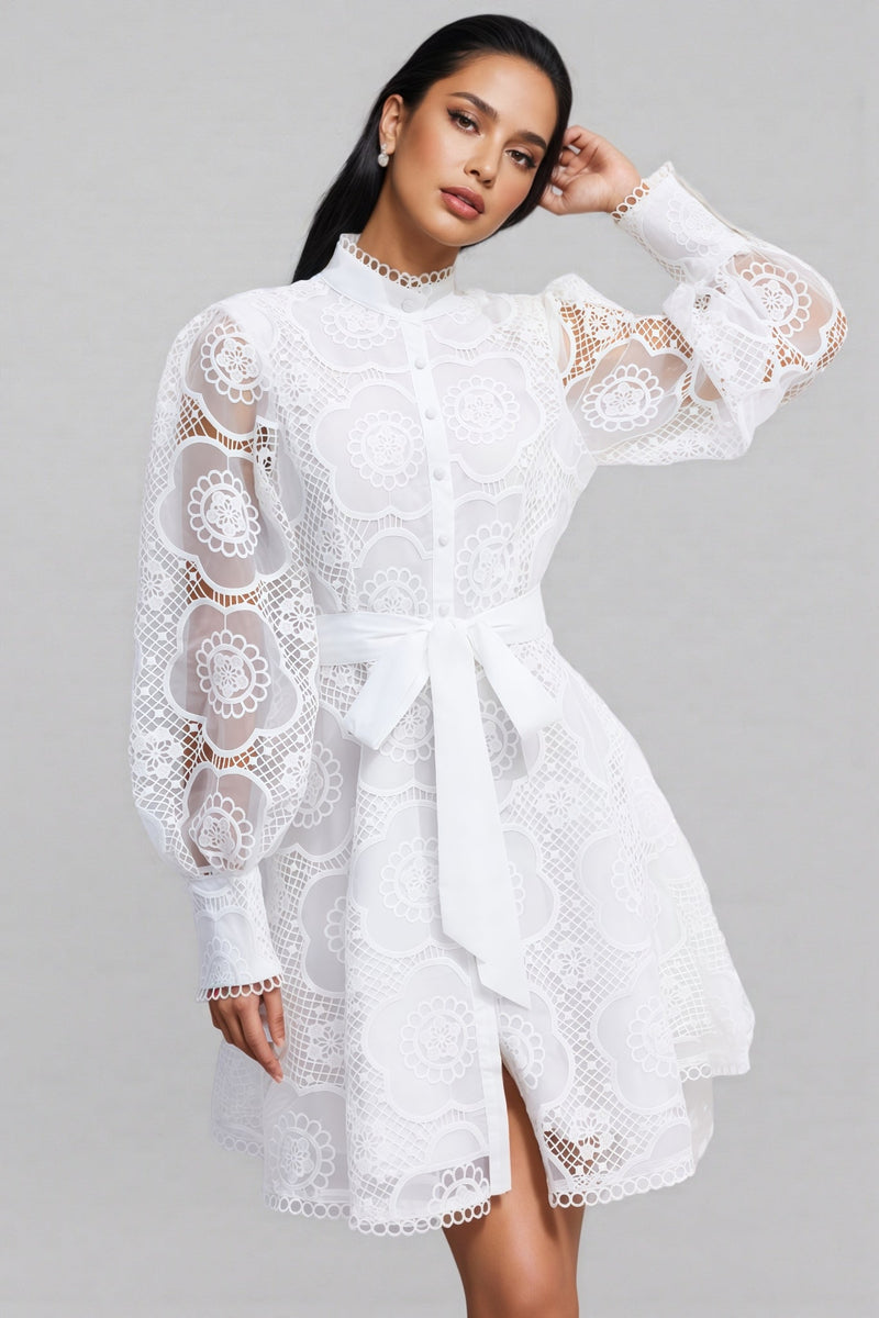 Joanna Lace Lantern Sleeve Mini Dress