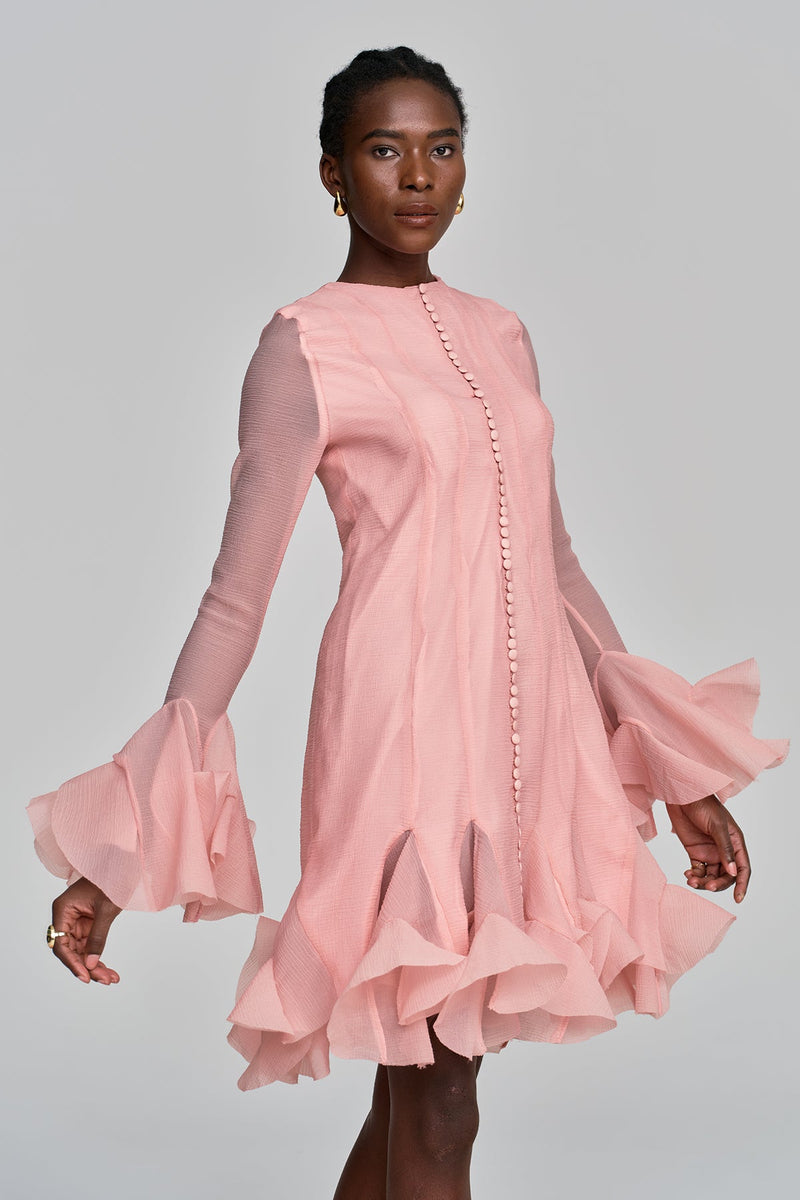 Mccarthy Mesh Ruffle Midi Dress in Pink