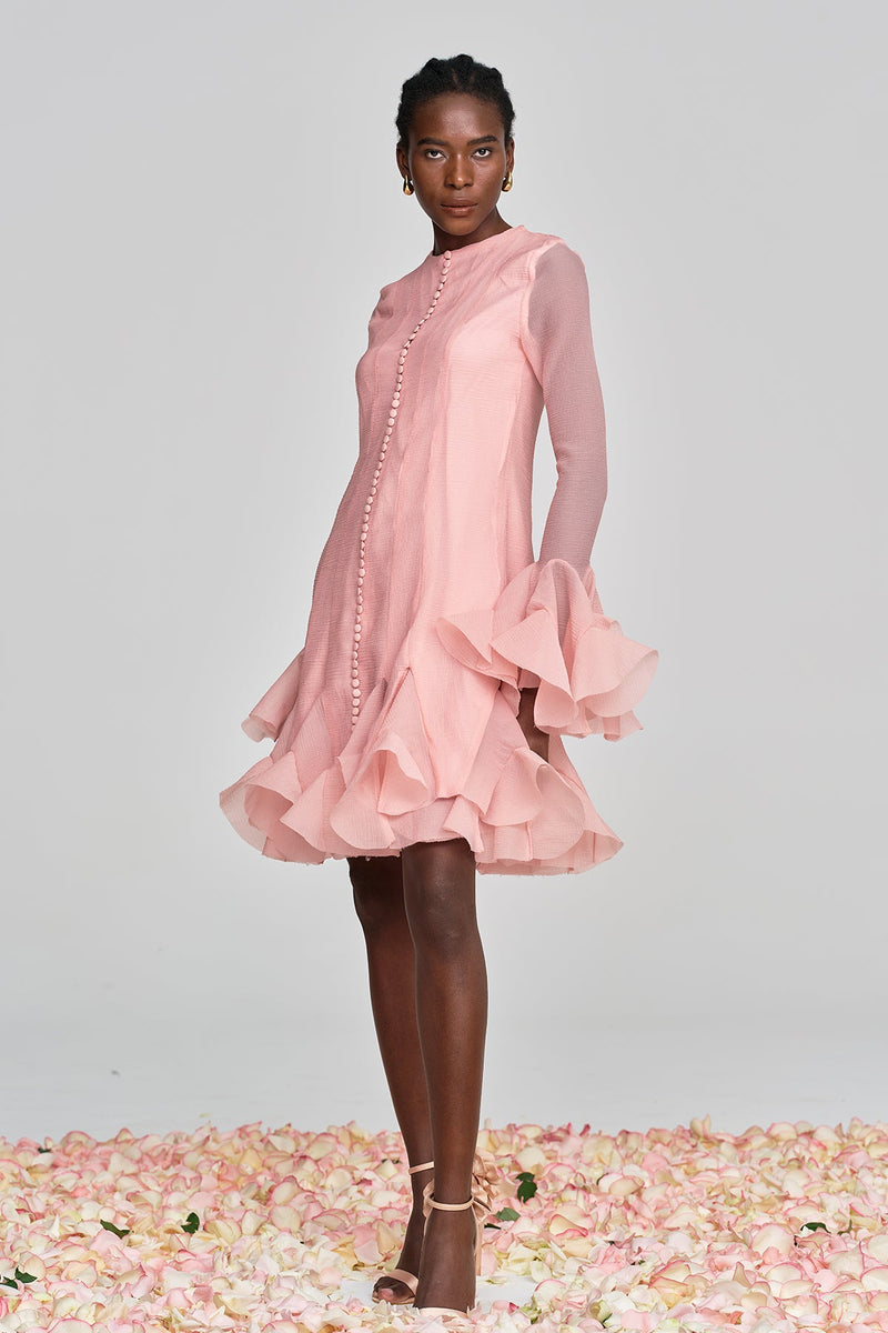 Mccarthy Mesh Ruffle Midi Dress in Pink