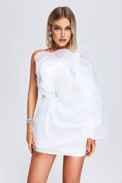 Kylie Mesh Mini Tube Dress