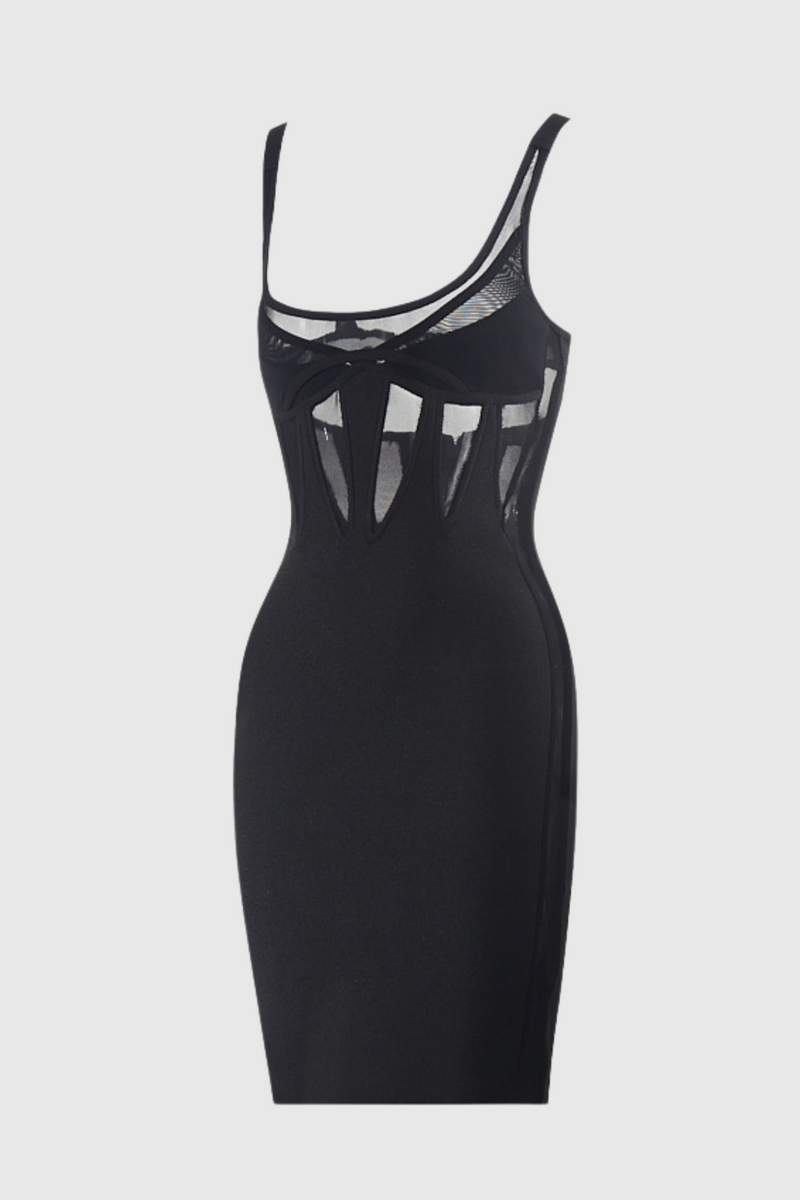 Nyomi Mesh See Through Sleeveless Mini Dress