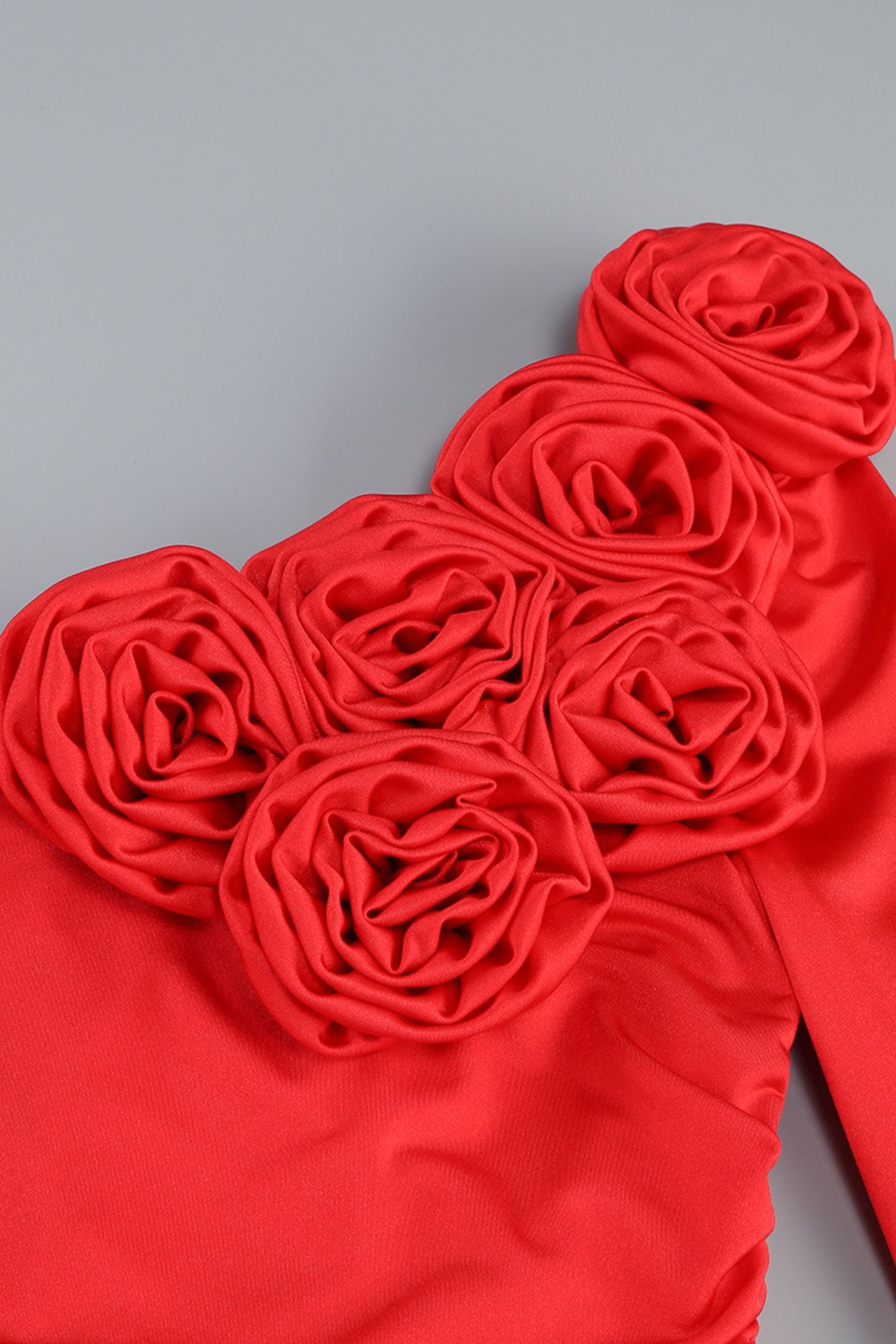 Gabrielle One Shoulder Maxi Dress