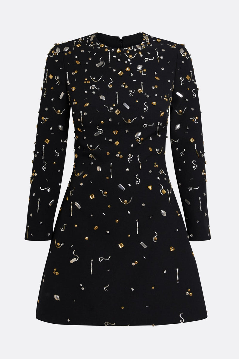 Pamaria Diamante Embroidery Mini Dress