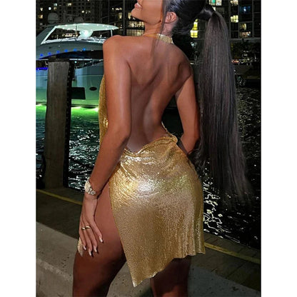 Glitter Sleeveless Bodycon Mini Dress