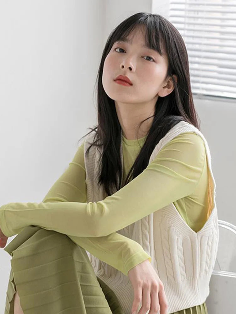 T Shirt See Through Transparent Mesh Tops Long Sleeve T-shirt Pink Green Top Basic Tops for