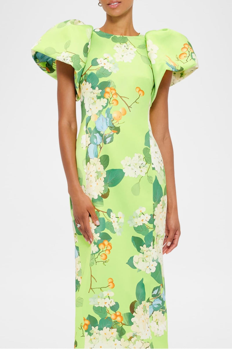Puff Sleeve Maxi Dress