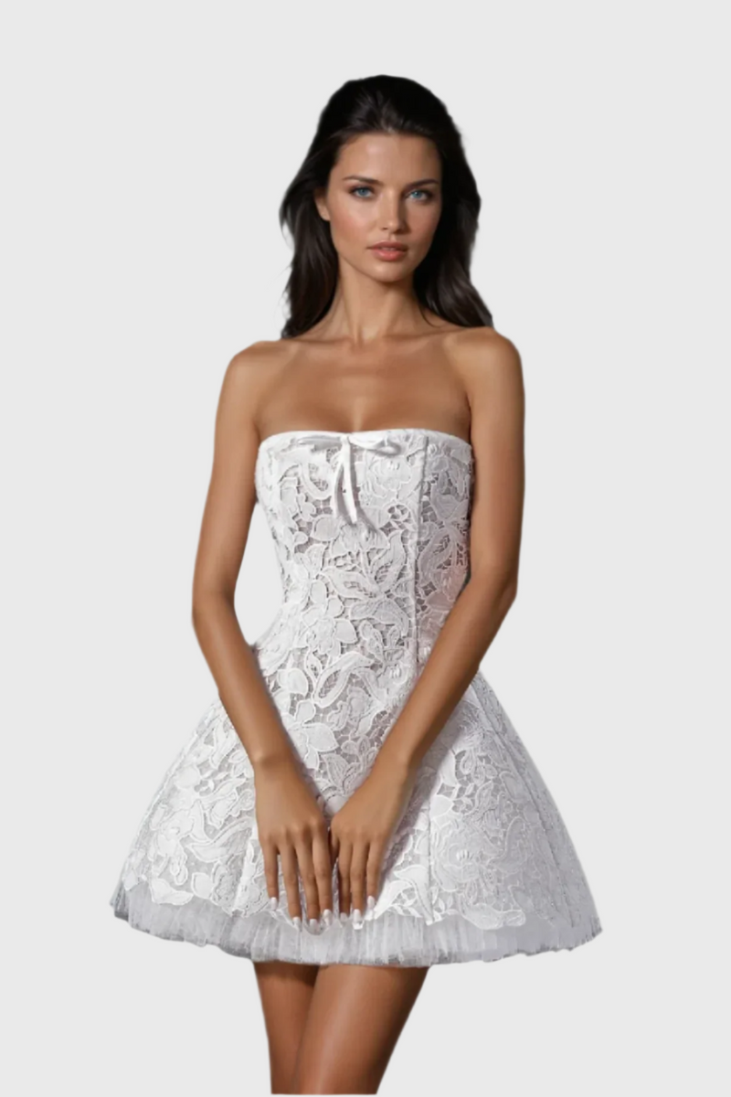 Wera Lace Strapless Mini Dress