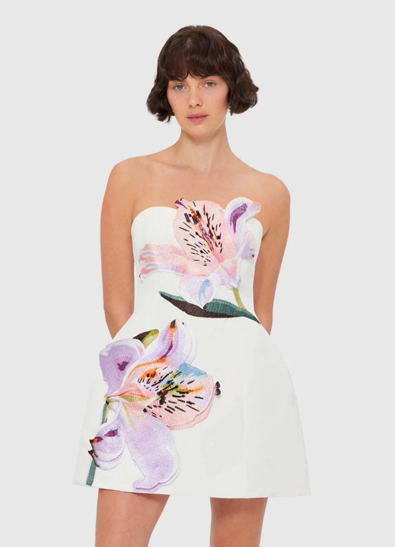 Rosario Applique Bustier Mini Dress™ — Command Every Room With Irresistible Confidence