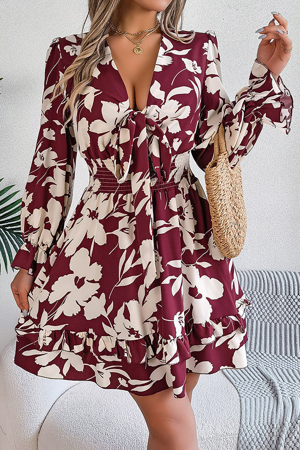 Print V-neck Lace-up Long-sleeve Elastic Waist Mini Dress