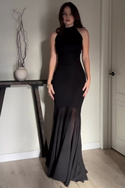 Color Mesh Fitted Bodycon Maxi Dress
